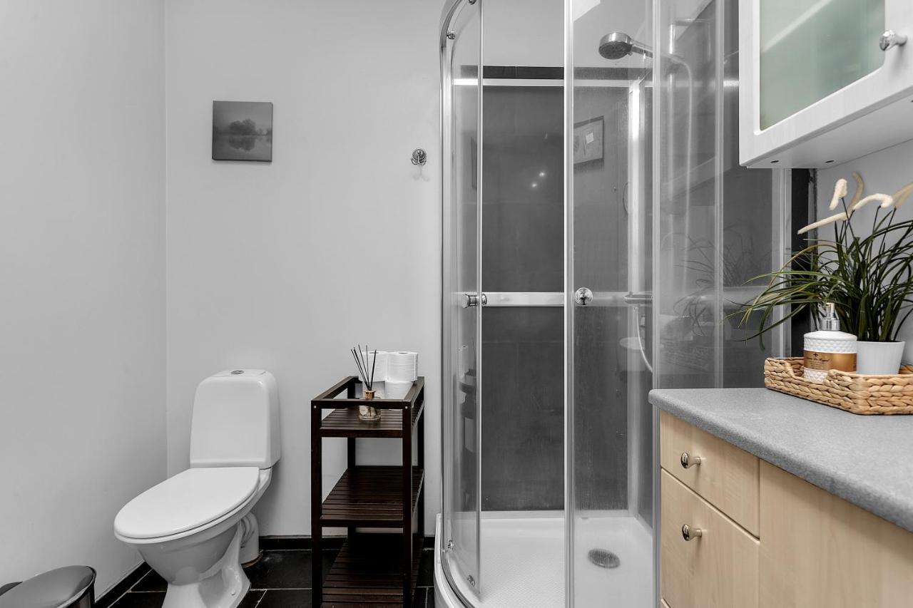 רייקיאוויק Baron Downtown Apartments מראה חיצוני תמונה